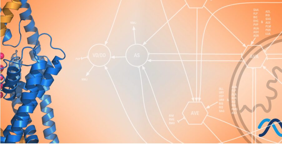 MeLiS Mécanismes en sciences intégratives du vivant