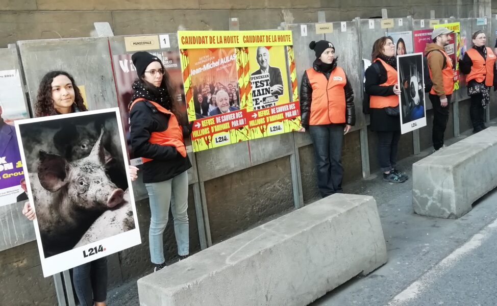 Action de L214 à Lyon. Crédit : L214