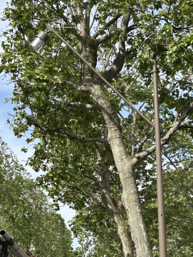 lampadaires lyon travaux