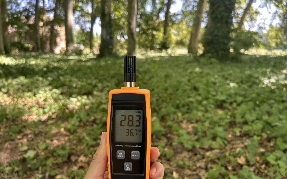 canicule thermomètre