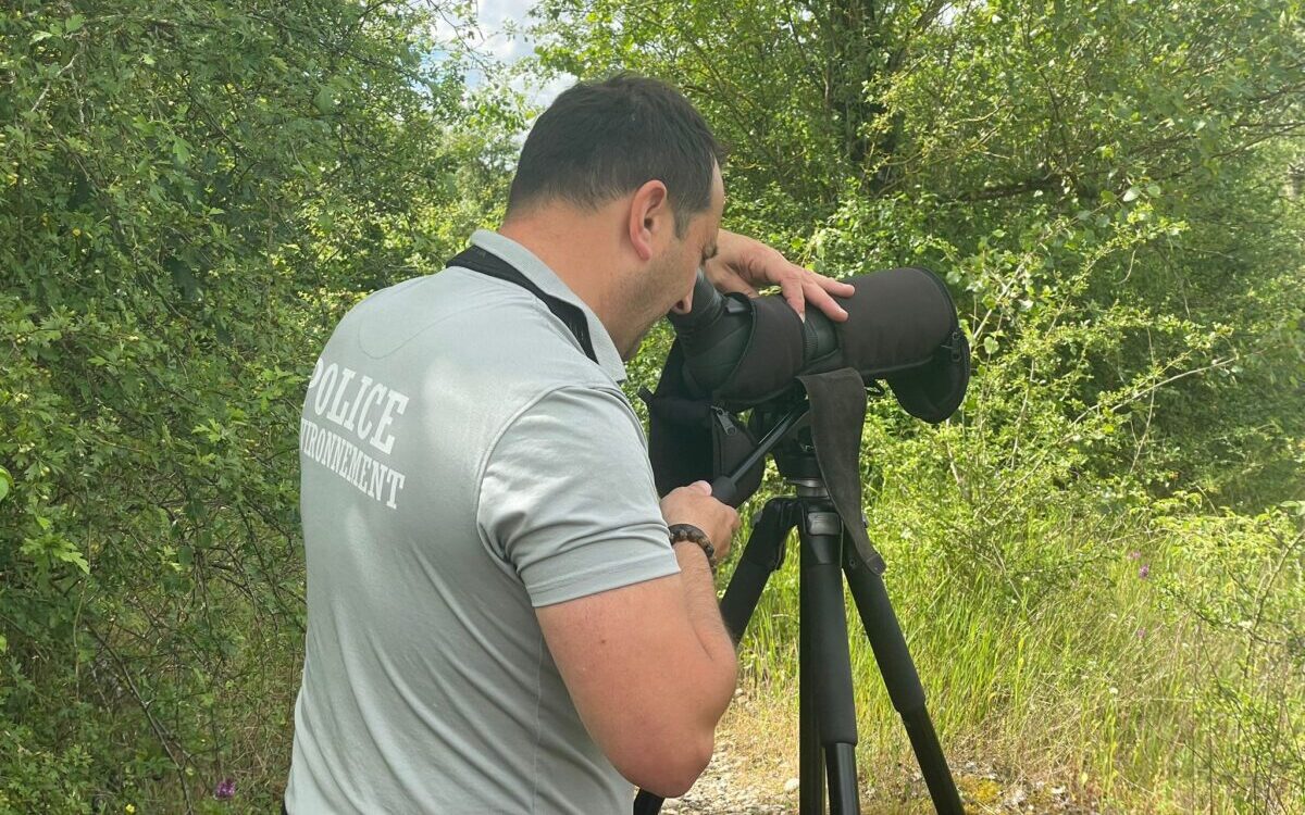 Romain Chazal, membre de L’Office français de la biodiversité (OFB), observe les Guêpier d'Europe