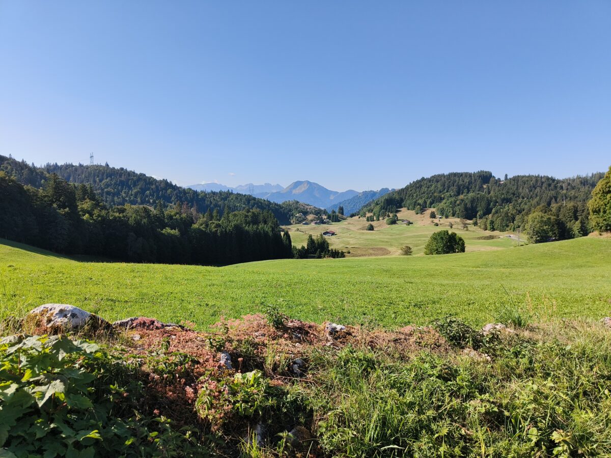 Boucle du Plateau de Plaine Joux. ©MoleBrassesTourisme - Antoine Maisonnial